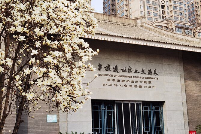 Banpo Museum English-speaking Guide Service - Why This Tour Offers Genuine Value