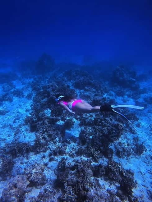 Bantayan Island: Fundive Freediving Excursion - Practical Details & Tips