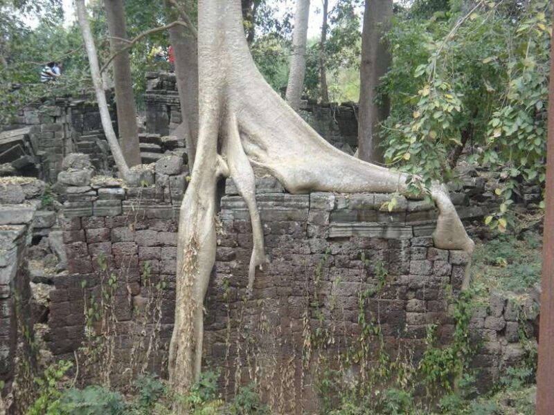 banteay-chhmar-temple-silk-farm-day-trip-from-siem-reap