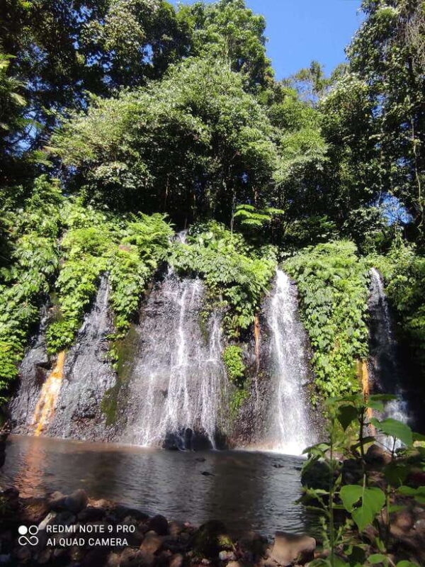 banyumala-waterfall-bali-trekking-in-the-jungle