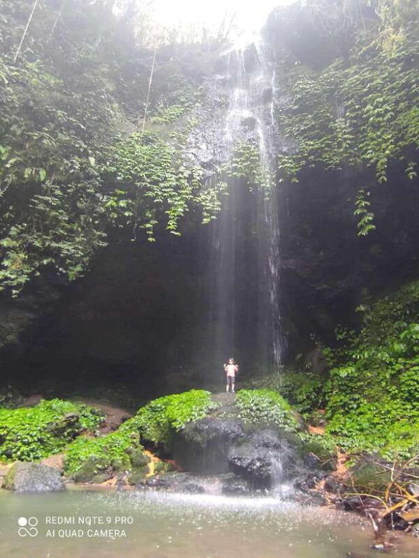 banyumala-waterfall-bali-trekking-in-the-jungle