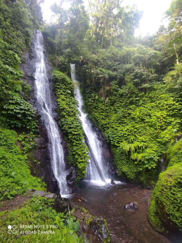banyumala-waterfall-bali-trekking-in-the-jungle