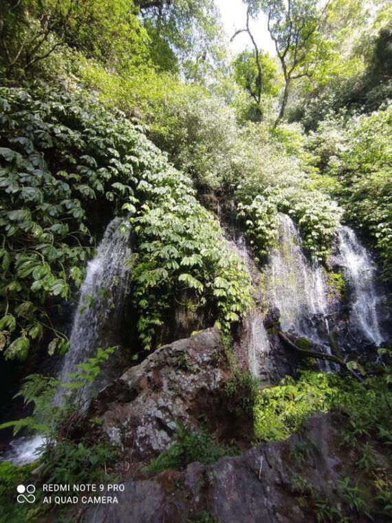 banyumala-waterfall-bali-trekking-in-the-jungle