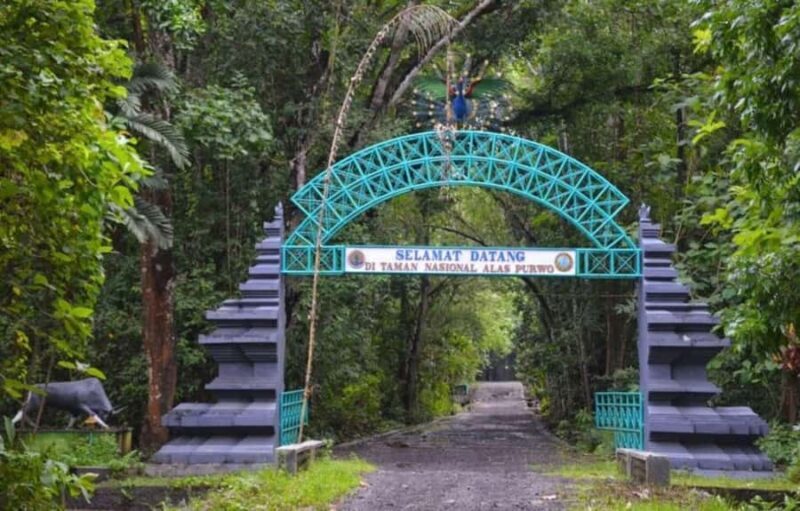 Banyuwangi: Alas Purwo National Park & G-Land Beach Tour - Why This Tour Offers Great Value