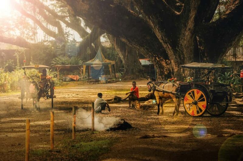 Banyuwangi: De Djawatan, Green, and Red Island Day Trip - A Full Breakdown of the Banyuwangi Day Trip