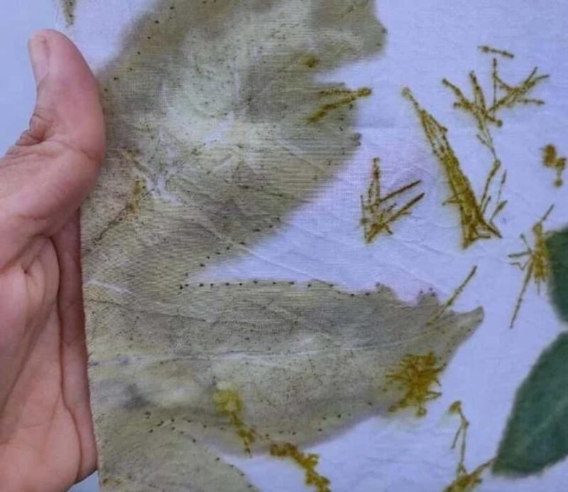 Banyuwangi: Eco Print Workshop with Local Artisan - What Is the Eco Printing Workshop in Banyuwangi?