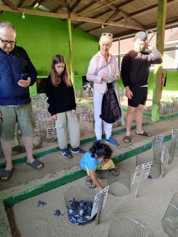 Banyuwangi hidden gem: Sukamade Beach Turtle Release Tour - Practicalities: What to Prepare