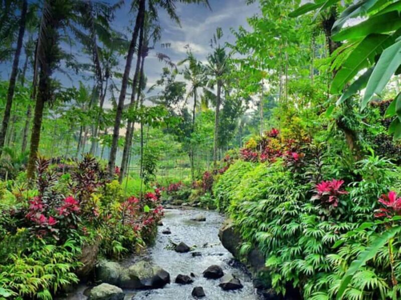 Banyuwangi: Kalibaru Train Adventure & Cultural Tour - Key Points