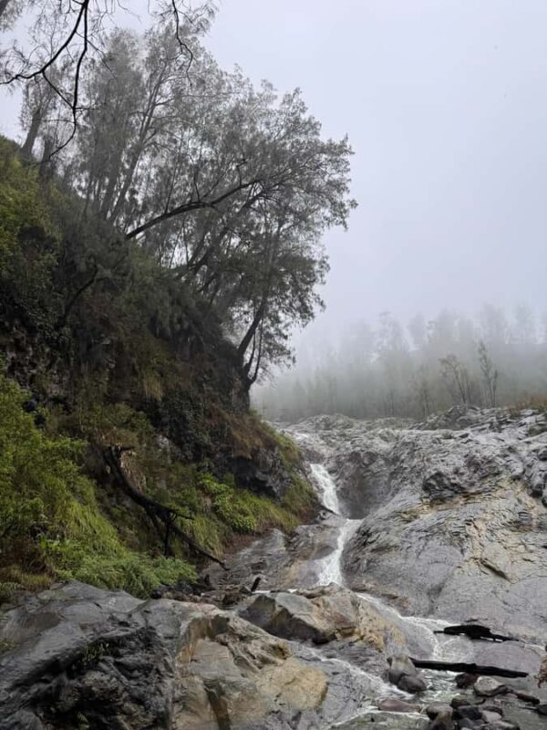 Banyuwangi: Kawah Ijen Blue Fire & Kalipait Waterfall Tour - Practical Tips for Making the Most of Your Tour