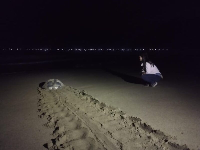 banyuwangi-sukamade-beach-turtle-conservation-2-day-tour