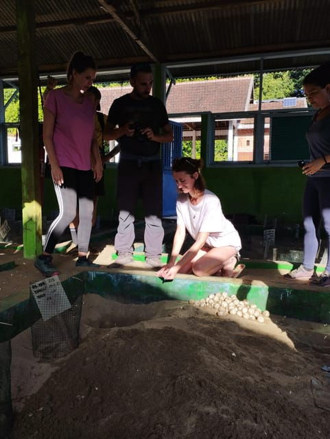 banyuwangi-sukamade-beach-turtle-conservation-2-day-tour