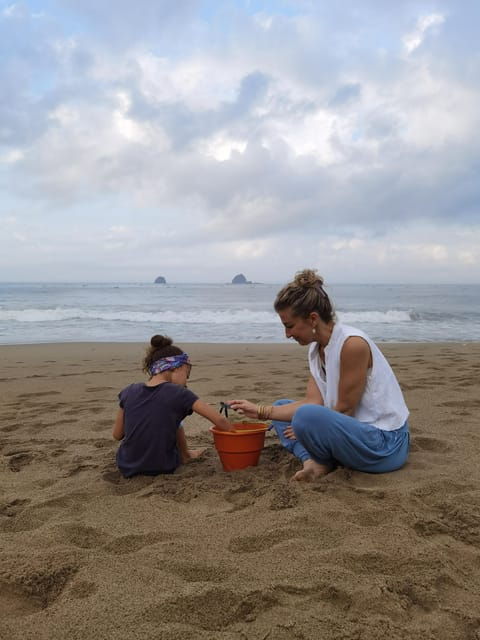 banyuwangi-sukamade-beach-turtle-conservation-2-day-tour