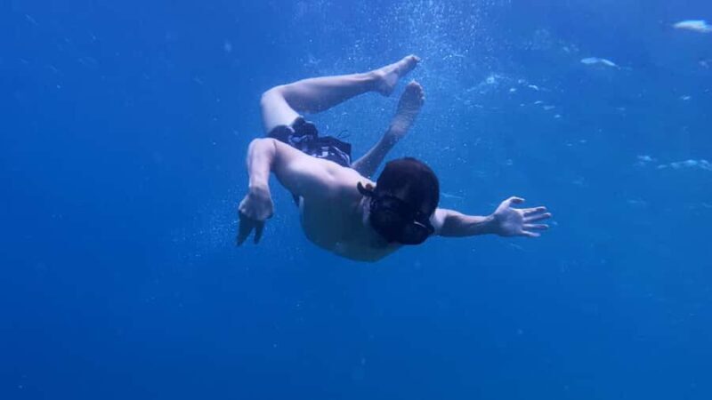 Banyuwangi: Tabuhan & Menjangan Island Snorkeling Tour - What Makes This Tour Stand Out?