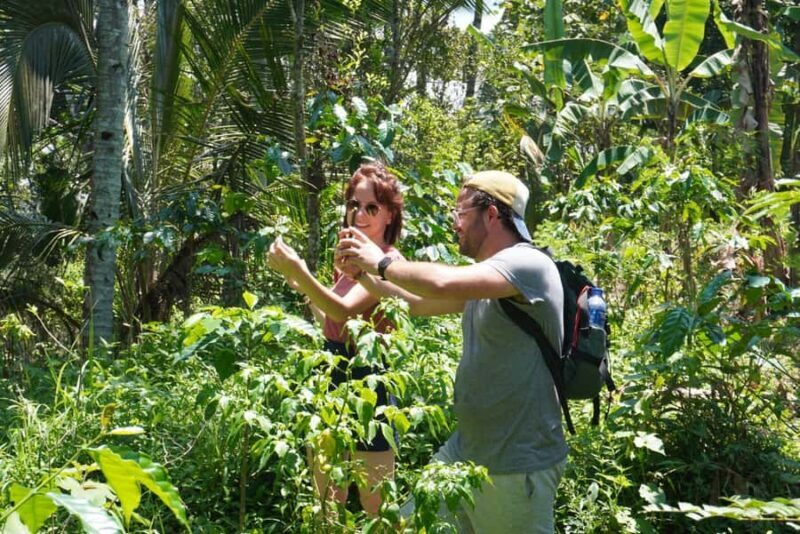 Banyuwangi: Village Walking Tour with Lunch & Coffee - What Makes This Tour Stand Out