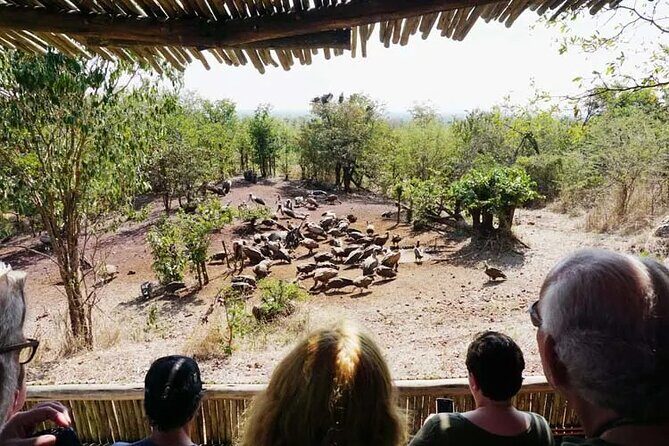 Baobab-Sunrise-Sunset-Vulture-Moonlight Safaris, 4 Options - A Closer Look at the Safari Itinerary
