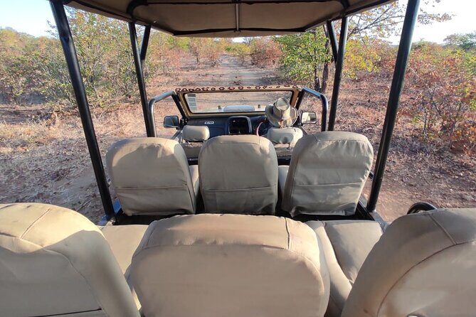 Baobab-Sunrise-Sunset-Vulture-Moonlight Safaris, 4 Options - FAQ
