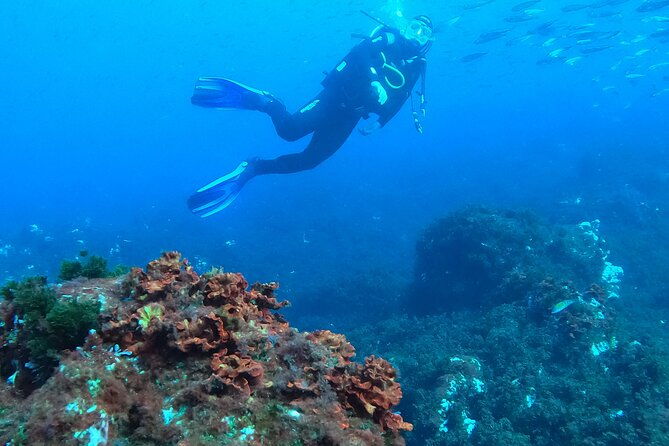 baptism-of-scuba-diving-in-a-shipwreck-on-terceira-island