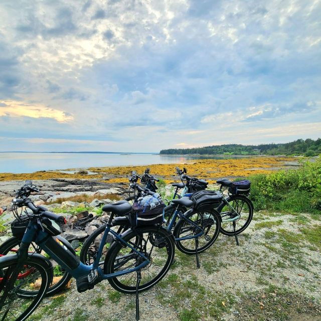 bar-harbor-acadia-national-park-carriage-roads-ebike-tour