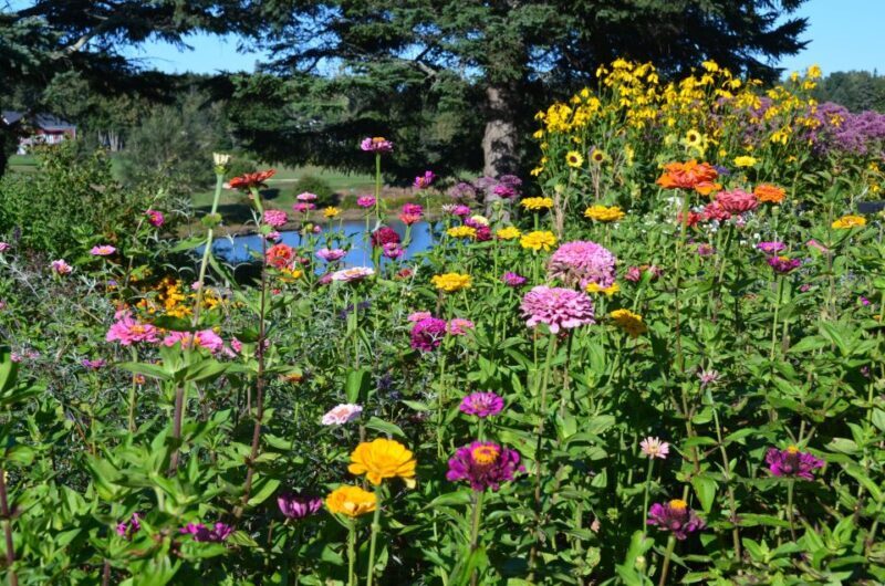 Bar Harbor: Acadia National Park Customizable Private Tour - Final Thoughts