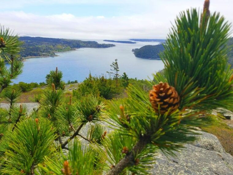 bar-harbor-acadia-national-park-customizable-private-tour