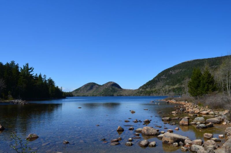 Bar Harbor: Acadia National Park Private Tour with Lunch - Who Will Enjoy This Tour?