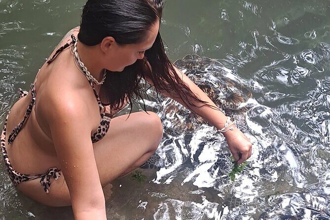 Baraka Aquarium and Dolphin Sightseeing with Sunset Cruise - Key Points