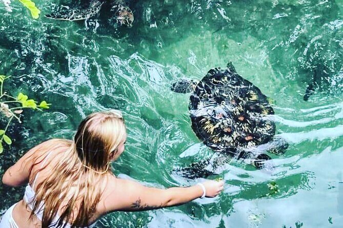 Baraka Aquarium and Dolphin Sightseeing with Sunset Cruise - Introduction: A Well-Rounded Marine Adventure
