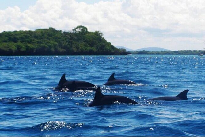 Baraka Aquarium and Dolphin Sightseeing with Sunset Cruise - Practical Details: Timing, Duration, and Value