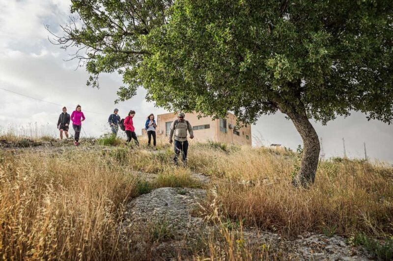 Baraka Destinations: Guided Light Hike in Umm Qais - Detailed Analysis of What Makes This Tour Stand Out