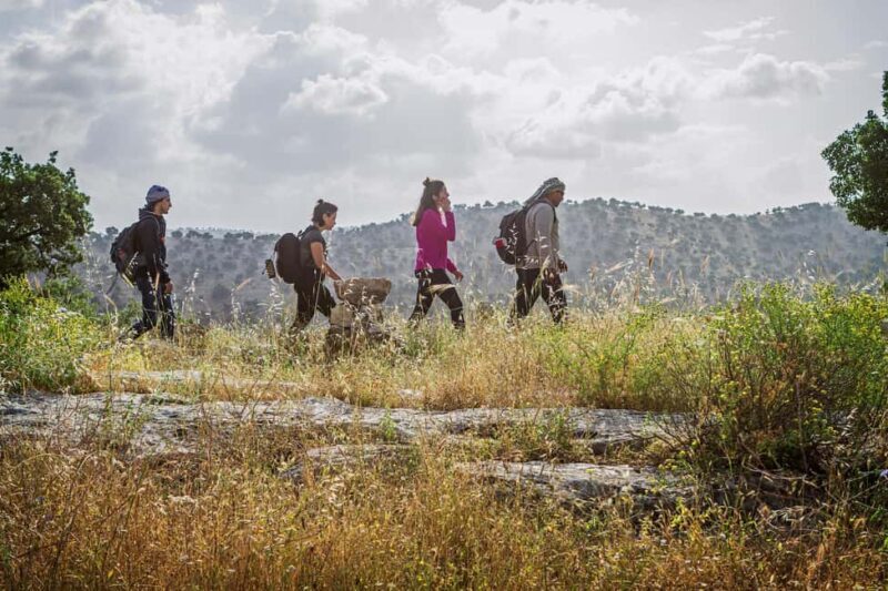 Baraka Destinations: Guided Light Hike in Umm Qais - FAQ