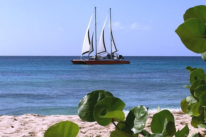 barbados-catamaran-turtle-and-shipwreck-snorkeling-cruise