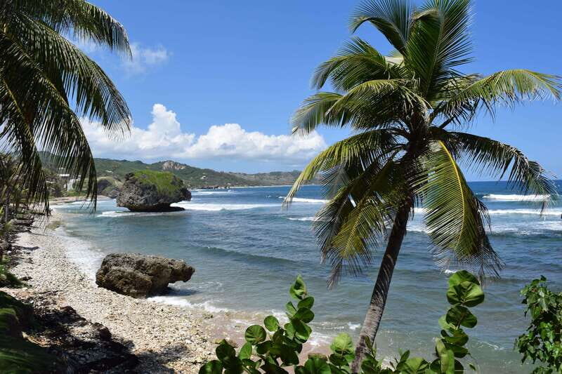 Barbados: Coastal Sightseeing Tour with Lunch and Transfers - Key Points