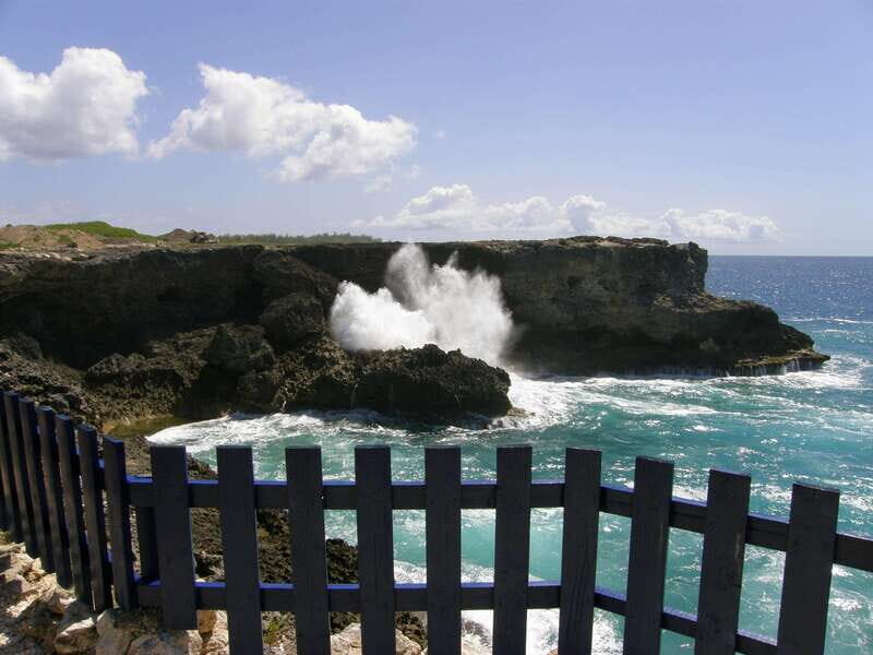 Barbados: Coastal Sightseeing Tour with Lunch and Transfers - Final Thoughts