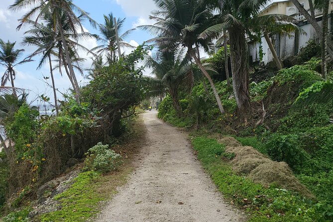 barbados-ebike-day-rental24-hours