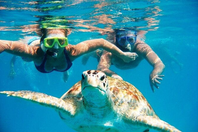 barbados-glass-bottom-boat-cruise-and-snorkeling