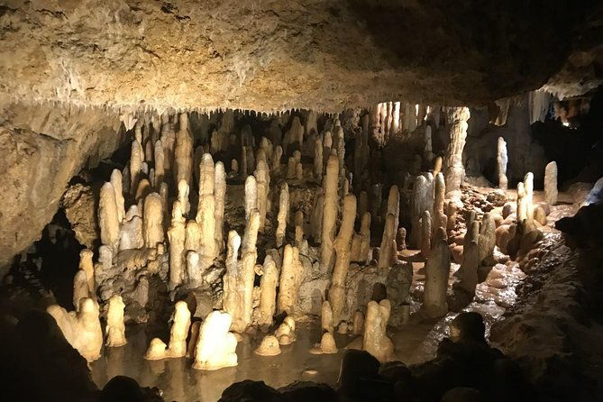 barbados-half-day-private-tour