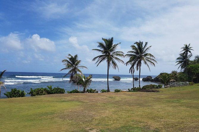 barbados-half-day-private-tour