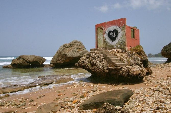 barbados-island-tour-with-lunch-and-wildlife-sanctuary
