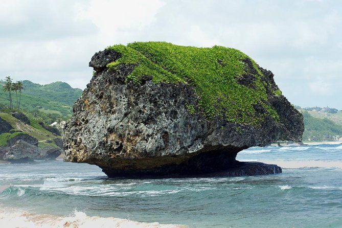 barbados-island-tour-with-lunch-and-wildlife-sanctuary
