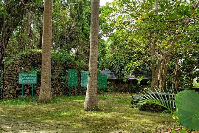 barbados-private-custom-island-tour