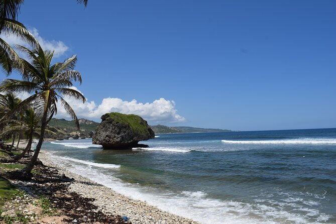 barbados-shore-excursion-barbados-surf-turf