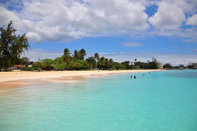 barbados-shore-excursion-carlisle-bay-turtle-shipwreck