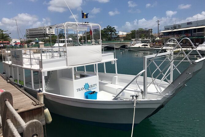 barbados-shore-excursion-island-tour-and-snorkel-cruise