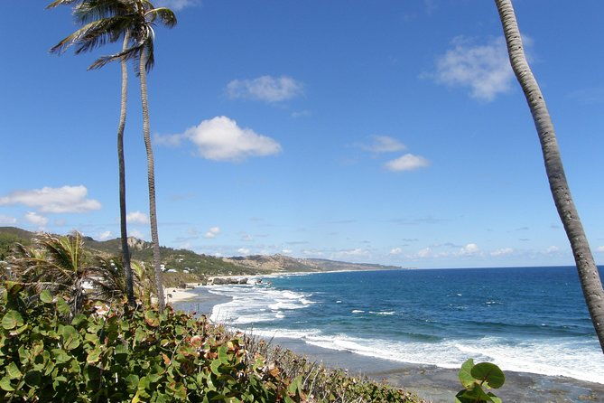 barbados-small-group-coastal-sightseeing-tour