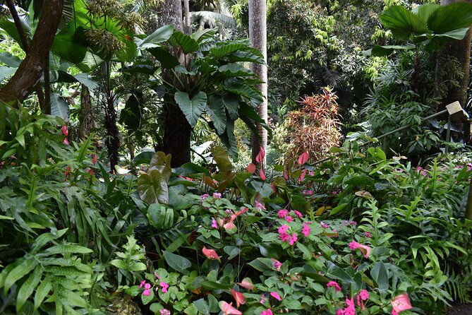 barbados-small-group-harrisons-cave-gardens-st-nicholas-abbey