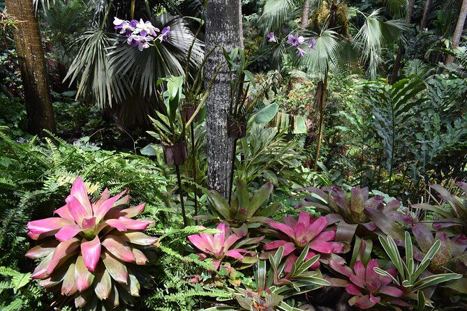barbados-small-group-harrisons-cave-gardens-st-nicholas-abbey