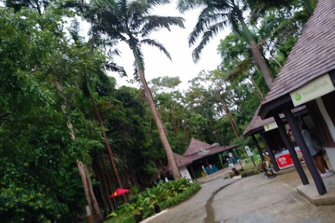 barbados-through-the-eyes-of-a-local