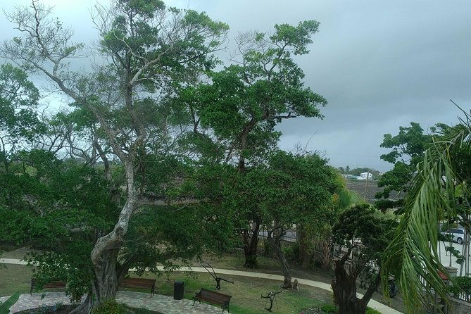 barbados-through-the-eyes-of-a-local