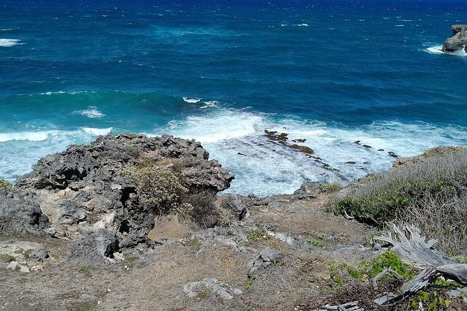 barbados-through-the-eyes-of-a-local