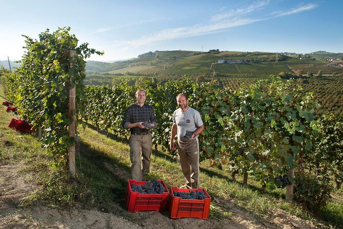 barbaresco-and-barolo-tasting-at-cantina-francone